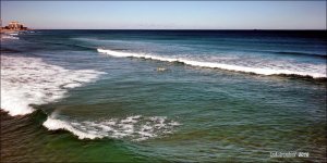 2-7-16 Deerfield Beach   18.jpg
