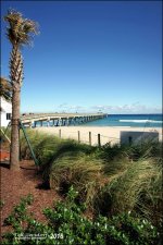 2-7-16 Deerfield Beach   4.jpg