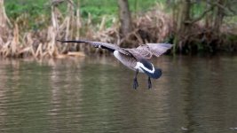 DSC_8947.jpg