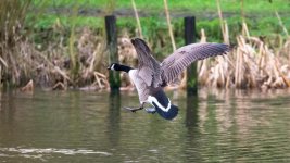 DSC_8949.jpg