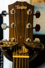 Guitars-2378.JPG