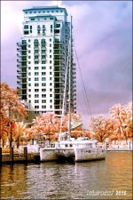 2-6-16 New River IR   13.jpg