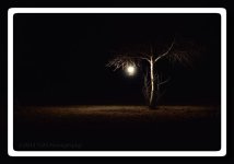 wk6-2-9-16-cr_DSC_3228-challenge.jpg