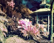 2-6-16 New River IR   14.jpg