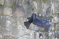 DSC_5575.jpg