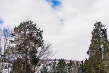 Snow Day-2384.JPG