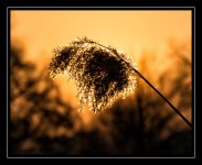 W_DSC_1415.jpg
