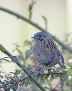 DSC_5644.jpg