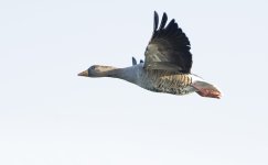DSC_5656.jpg