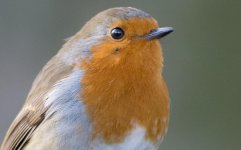DSC_4773.jpg