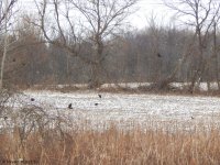 DSCN2573.jpg