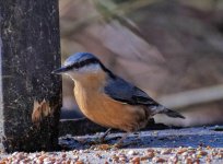 DSC_0018.JPG