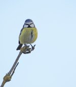 DSC_5752.jpg