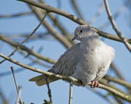 DSC_5816.jpg