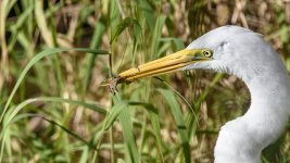 Circle B Bar Reserve-1548-3.jpg