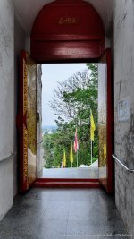 through door-1.jpg