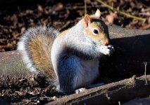 DSC_0042.JPG