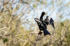 Circle B Bar Reserve-.jpg