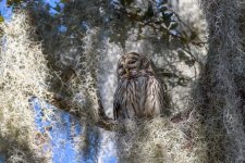 Circle B Bar Reserve--4.jpg