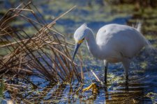 Circle B Bar Reserve--3.jpg