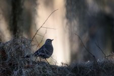 Circle B Bar Reserve--7.jpg