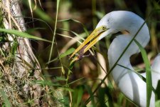 Circle B Bar Reserve--5.jpg