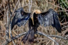 Circle B Bar Reserve--6.jpg