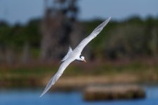 Circle B Bar Reserve--8.jpg