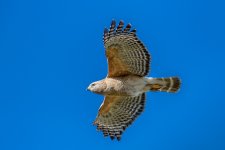 Circle B Bar Reserve--9.jpg