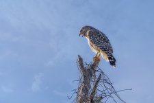 Circle B Bar Reserve--12.jpg