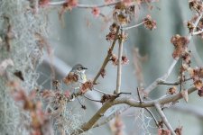 Circle B Bar Reserve--2.jpg