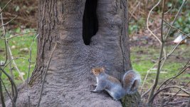 DSC_9025-Edit.jpg