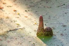 Circle B Bar Reserve--10.jpg