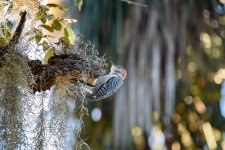 Circle B Bar Reserve--13.jpg