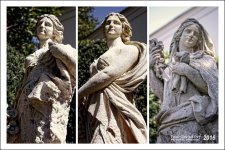 2-12-16 Ladies of the Garden.jpg