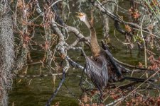 Circle B Bar Reserve--15.jpg