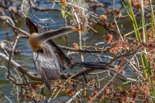 Circle B Bar Reserve--16.jpg