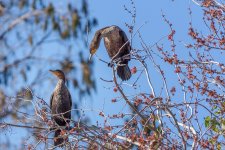 Circle B Bar Reserve--17.jpg