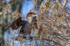 Circle B Bar Reserve--18.jpg