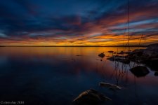 untitled-6018.jpgresize 1024.jpg