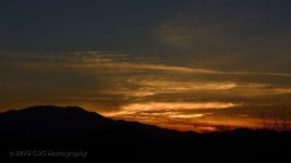 2-13-16-cr__D7K1295.jpg