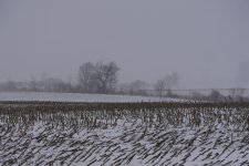 _DSC1500.jpg