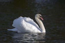DSC_5917.jpg