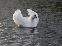DSC_5865.jpg