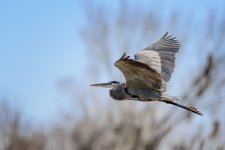 Circle B Bar Reserve--20.jpg