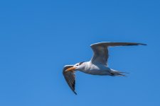 Circle B Bar Reserve--21.jpg