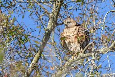 Circle B Bar Reserve--22.jpg