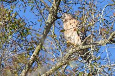 Circle B Bar Reserve--23.jpg