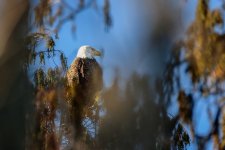 Circle B Bar Reserve--24.jpg