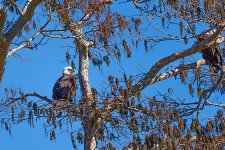 Circle B Bar Reserve--25.jpg